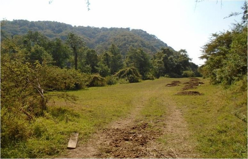 Terreno En Venta En Temascaltepec.