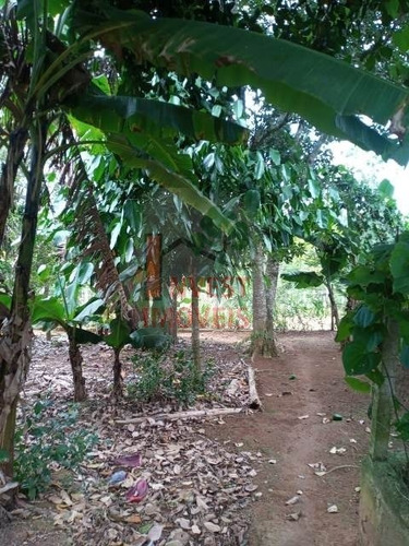 Imagem 10 de 15 de Chacara - Ref: 5694 - V-5694