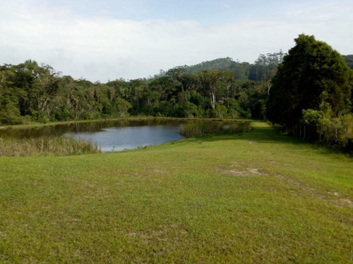 Imagem 9 de 19 de Sítio À Venda Em Juquitiba, Excelente Oportunidade! - 355 - 33553342