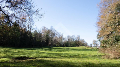Sitios En Venta En Panguipulli