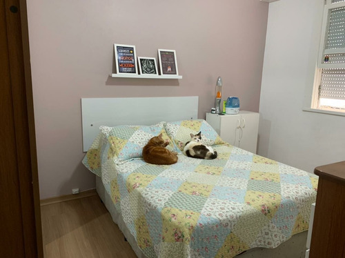Imagem 5 de 18 de Apartamento À Venda No Bairro Tijuca - Rio De Janeiro/rj, Zona Norte - 145