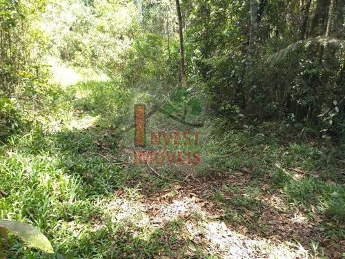 Imagem 3 de 7 de Terreno - Ref: 2985 - V-2985
