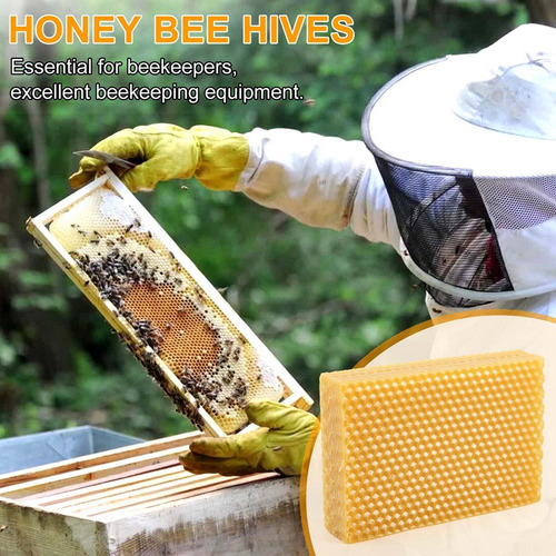 30 Hojas De Base De Cera De Abeja Con Forma De Panal De Abej