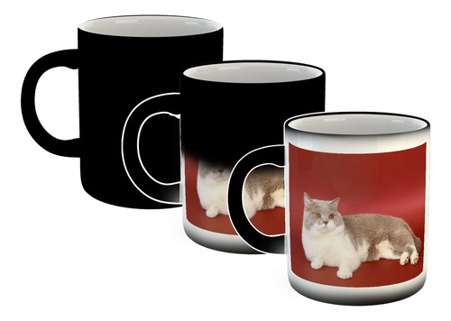 Taza Magica Gato Gris Blanco Acostado Suelo Rojo