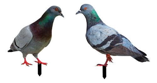 2 Estatuas De Palomas, Estacas De Jardín, Figuritas De