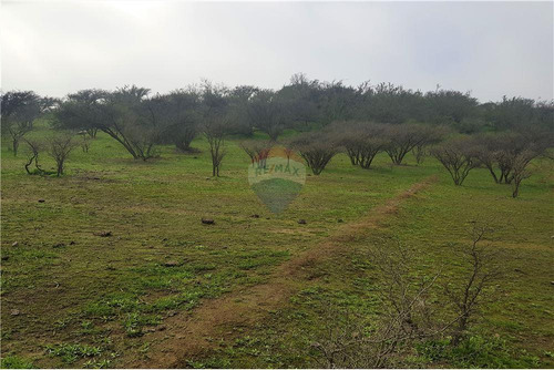 Sector Los Laureles - Terreno En Limache 5000 Mt