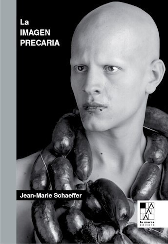 Libro La Imagen Precaria De Jean Marie Schaeffer