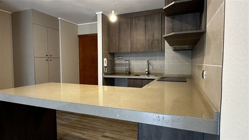 Departamento - Mirador De Philippi - Puerto Varas - Su Dueño