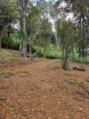 Imagen 22 de 24 de Terreno Lote En Venta Ubicado En Valle Escondido, Bariloche, Patagonia