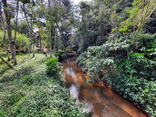 Imagem 19 de 30 de Sítio Em São Lourenço Rico Em Agua