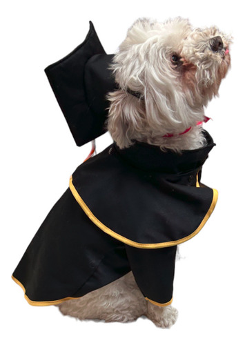 Disfraz De Graduado Para Mascotas Talla 2