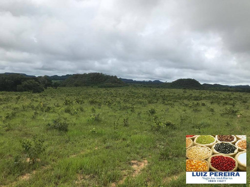Imagem 7 de 15 de Fazenda À Venda Em Recursolândia - Ms - De 1.041 Alqueirões - 1648