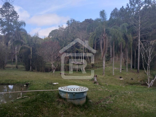 Imagem 21 de 30 de Itio Ideal Para O Seu Lazer Tendo 3 Lagos Piscosos Com Peixe, 02 Nascentes Próprias, Pomar, Horta. - 77 - 70066608