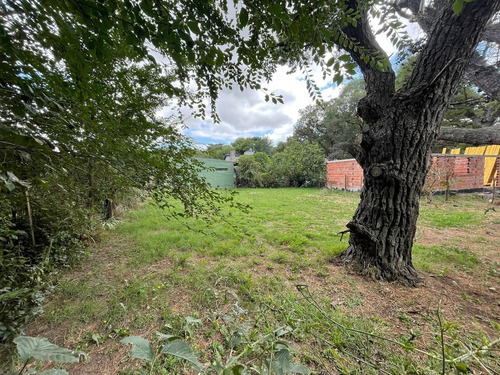 Imagen 3 de 5 de Terreno En Venta - Necochea Oportunidad