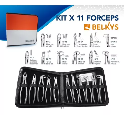 Ituren Odontología - Kit 11 Forceps Para Odontología Belkys +