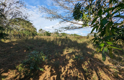 Terreno (finca) En Venta En San Francisco De Macorís