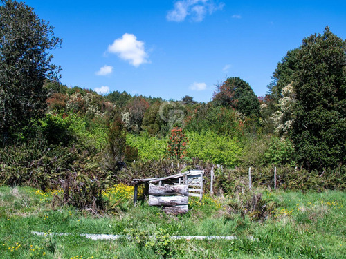Inmersas En Bosque, Con Orilla De Rio Y Vista Al Lago.