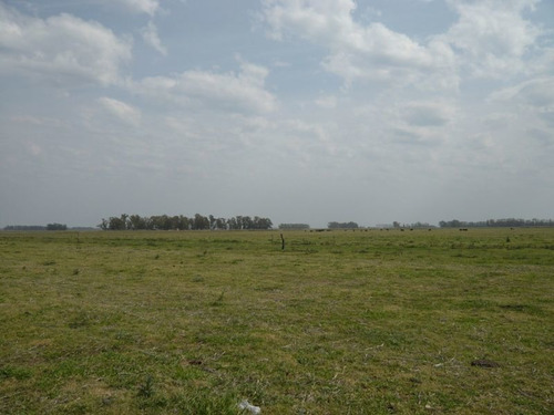 Imagen 17 de 17 de Campo En Cañuelas