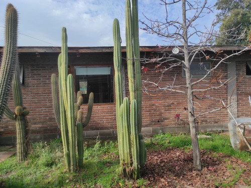 Casa Familiar Con Piscina, Quincho Y Gran Terreno Colina