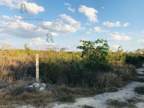 Imagen 7 de 9 de Terreno En Esquina En Venta En Komchen, Yucatán. Ctv124.