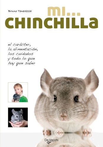 Mi Chinchilla De Anonimo