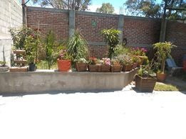 Imagen 5 de 8 de Casa En Venta Salamanca Guanajuato