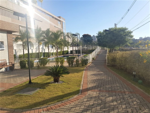 Imagem 14 de 15 de Apartamento, Centro, São Bernardo Do Campo - 1033-20336