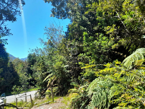 Correntoso Parque Nacional Alerce Andino. Puerto Montt