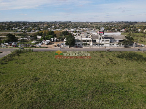 Imagen 8 de 11 de Terreno Urbanizable En Inmejorable Zona, Entre Las Piedras Y La Paz A