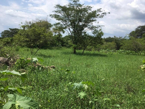 Imagen 3 de 30 de 33 Has Cerca De Altozano El Nuevo Colima