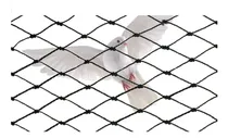 Comprar Redes Especiales Anti Murcielagos Balcones Y Ventanas 3 X 3 