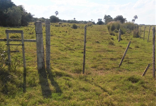 Campo Ganadero En San Luis, Rocha