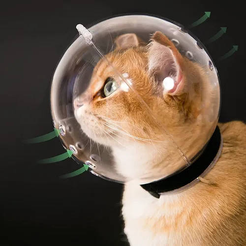 Unico Disfraz Para Gato Casco Astronauta Transpirable Seguro
