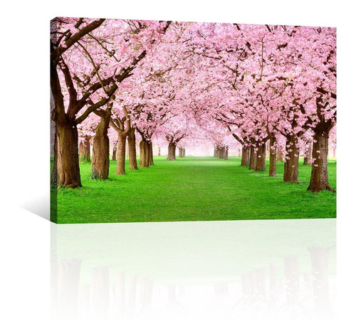 Cuadro Decorativo Naturaleza Canvas Lienzo Tunel Majestuoso