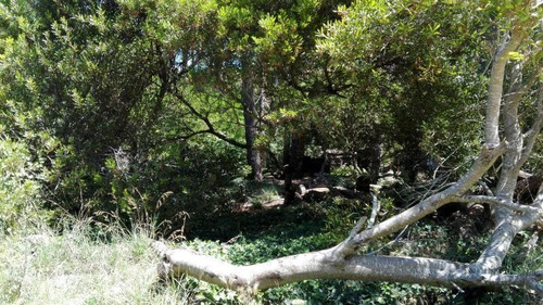 Imagen 2 de 5 de Terreno En Venta En Mar Azul