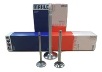 Comprar Juego Válvulas Mahle Para Fiat Palio Siena 1.6 16v. Torque