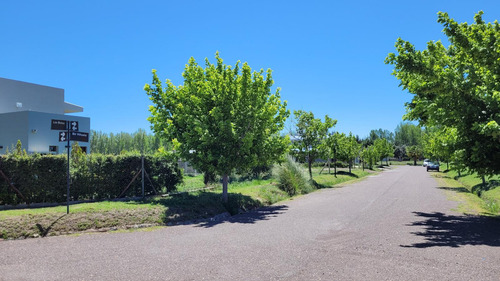 Imagen 8 de 22 de Lotes En Viñas Del Sur - Últimos Lotes De 1er Etapa