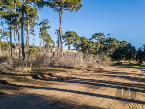 Imagen 2 de 12 de Lote En Venta - Zona Alamos - Pinamar