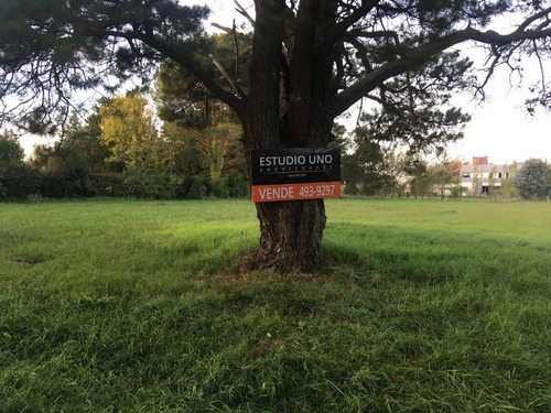 Hermoso Y Amplio Lote En Barrio La Armonía!
