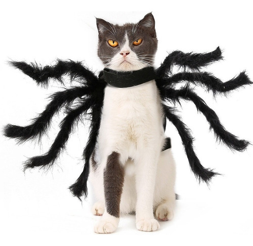 Ropa De Araña Para Mascotas, Accesorios Para Halloween