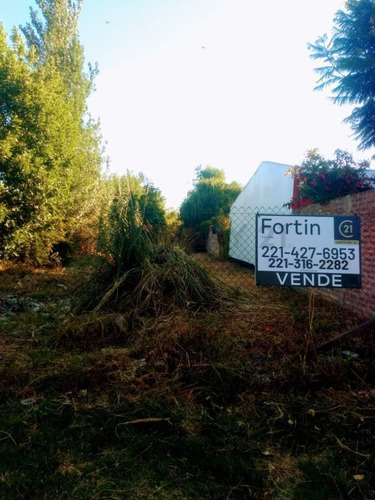 Vende Lote En Calle 6 Entre 497 Y 498 - 10 X 52