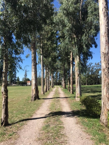 Imagen 1 de 8 de 13 Y 600 -venta De Lotes La Elvira Barrio Cerrado.
