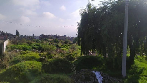 Imagen 3 de 5 de Terreno Comercial En Venta Cacalomacan