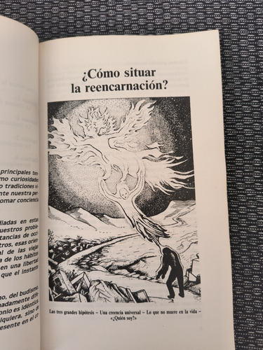 La Reencarnación - P. Ravignant, Ed. Signos, 1a Ed. Español (Usado)