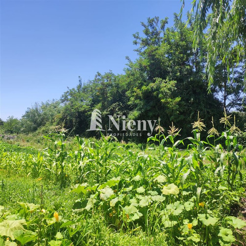 Agrícola En Venta En Malloa