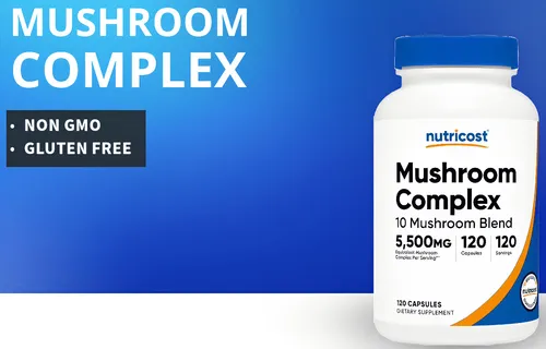 Melena De Leon Cola De Pavo Chaga Maitake Ganoderma Reishi Cordyceps Sinensis Hongos Setas Hongos Neurocognitivos Complejo De Hongos Suplemento Hongos