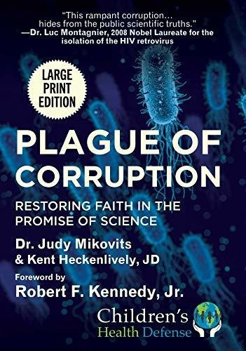 Book : Plague Of Corruption Restoring Faith In The Promise.