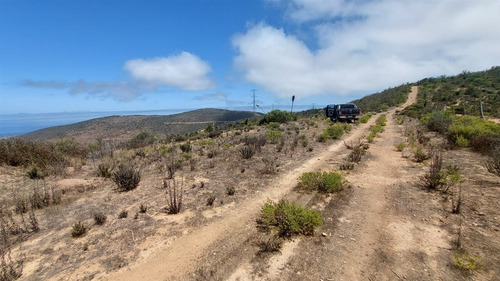 Se Vende Parcela De Agrado De 10.082m2 Pichicuy-huaquen Alto