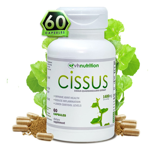 Vh Nutrition Cissus Quadrangularis Capsulas | 1400mg Por Por