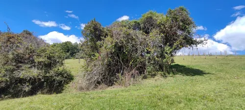 Lote En Venta En Vereda San Rafael. Cod V13714